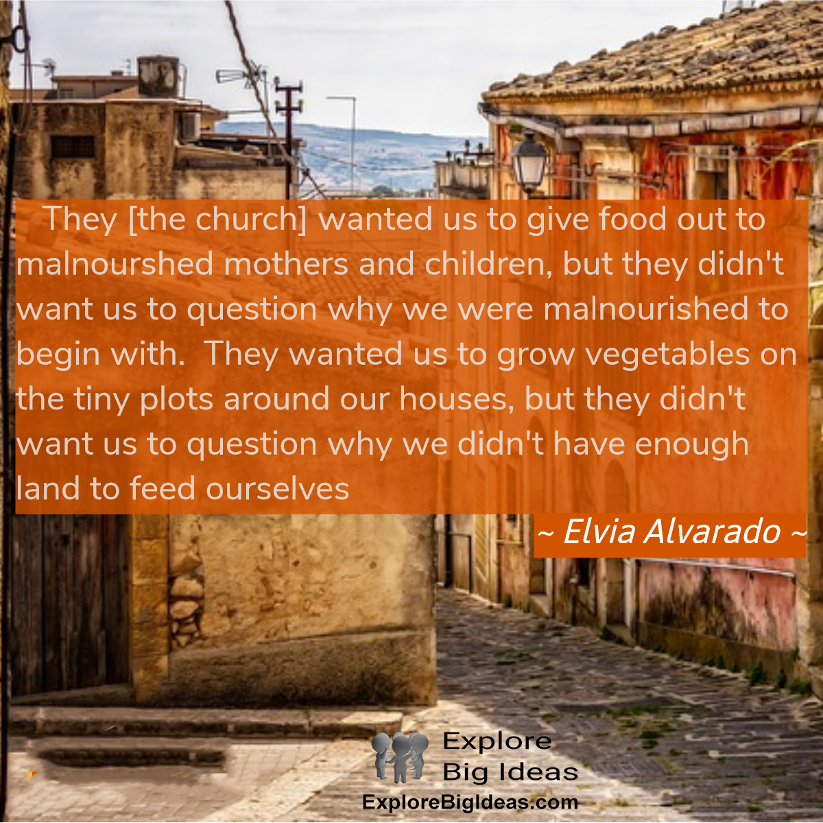 Alvarado Alvarado on Social Change